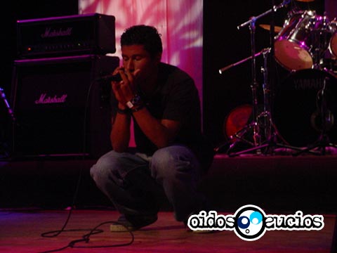 Camisas negras al poder