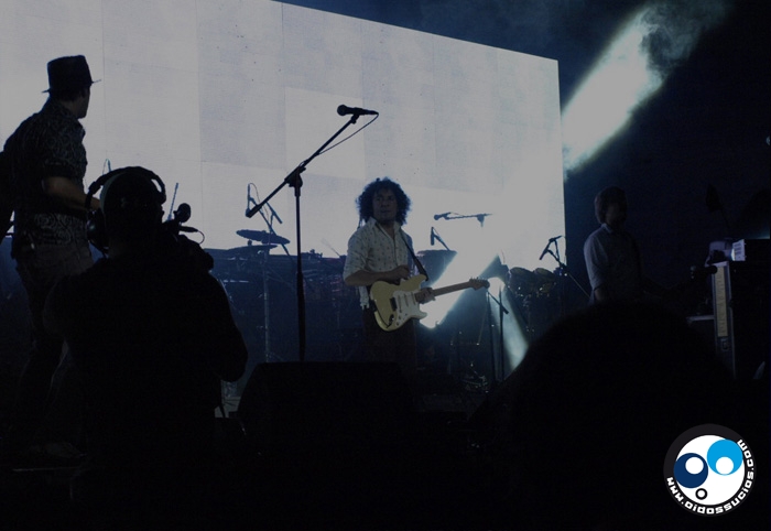 20 años Una Orquídea Un Grammy Una Gozadera