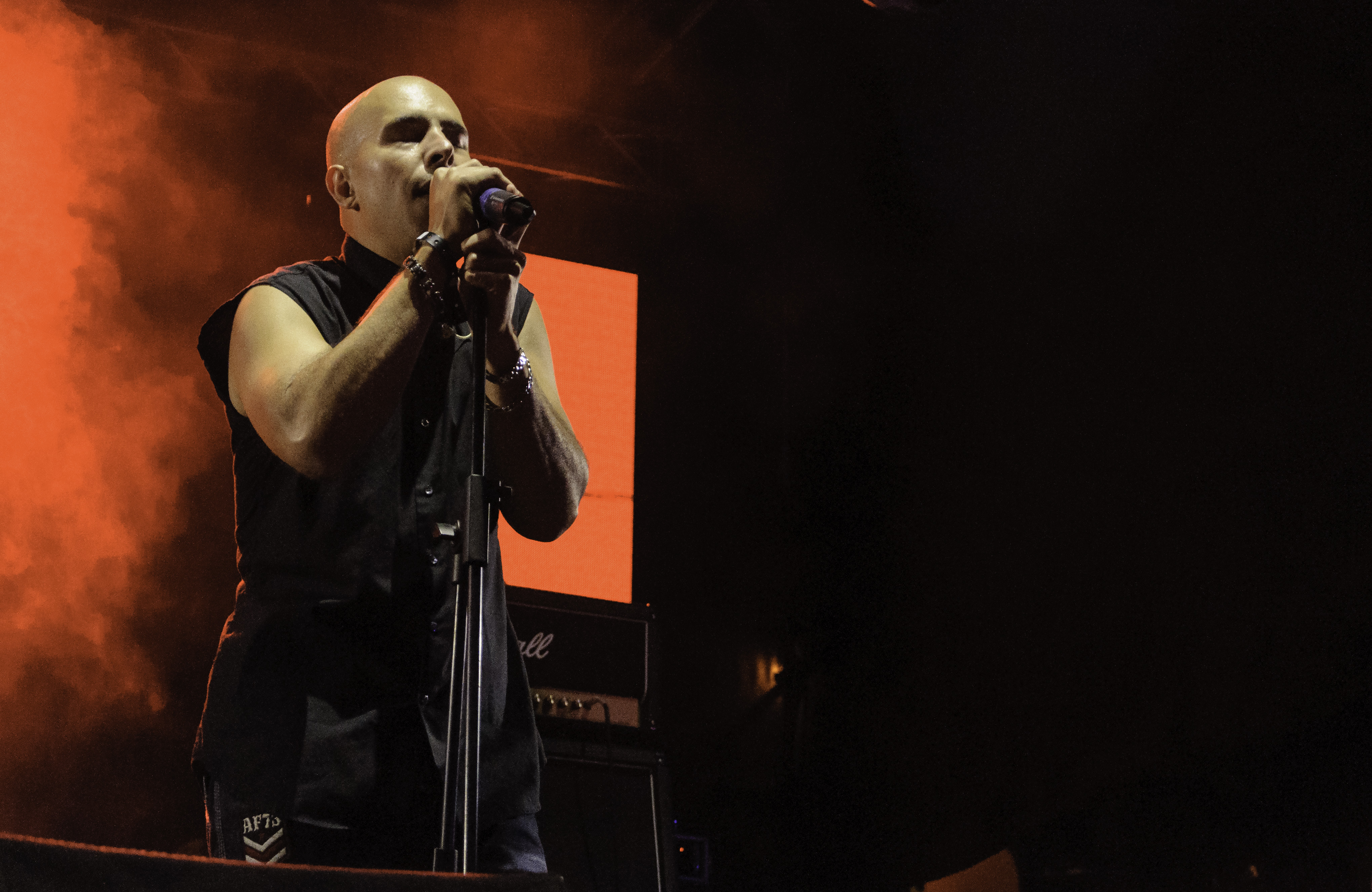 Sibelius Fest 2015: una tarde de talento nacional