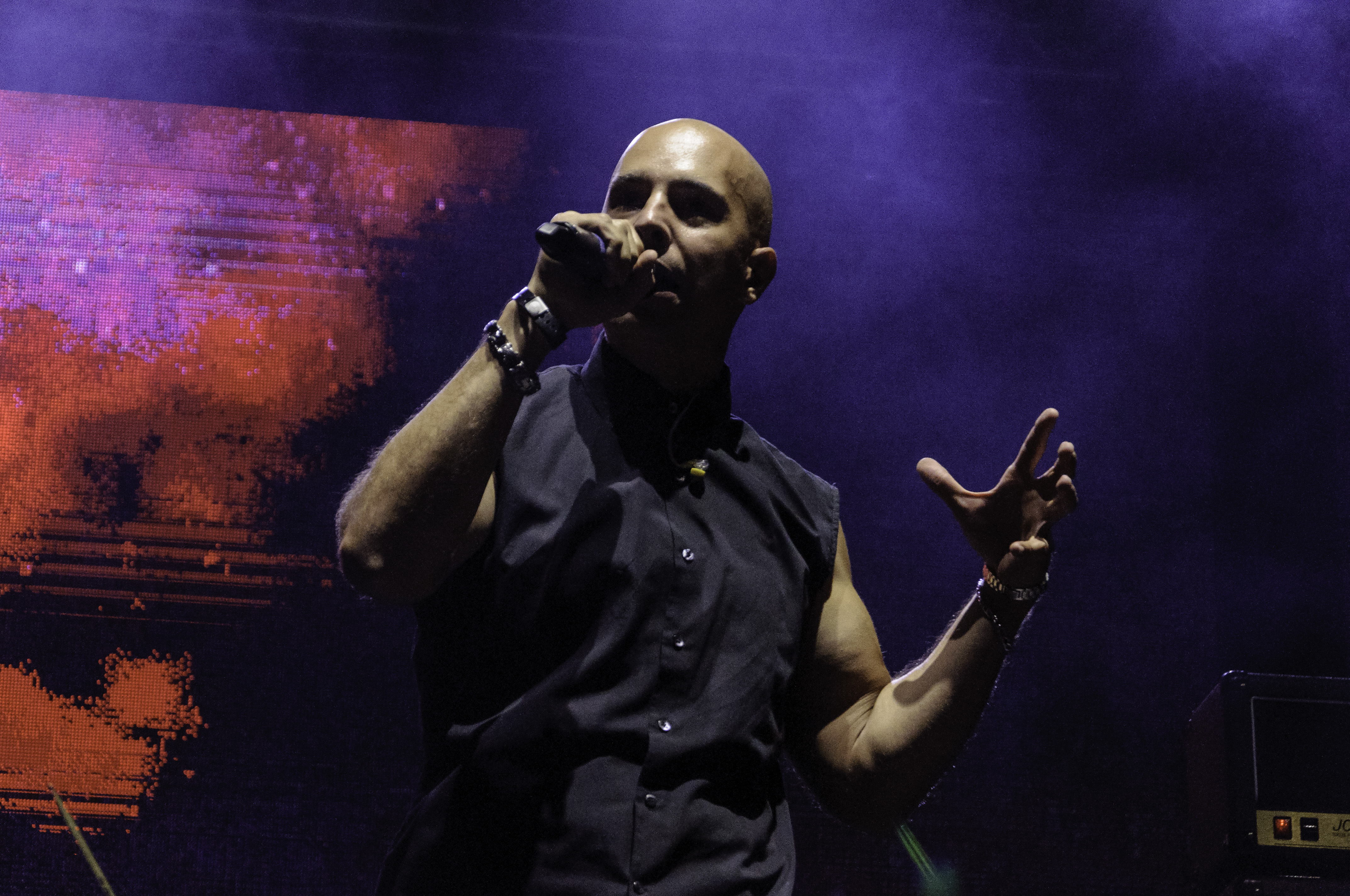 Sibelius Fest 2015: una tarde de talento nacional