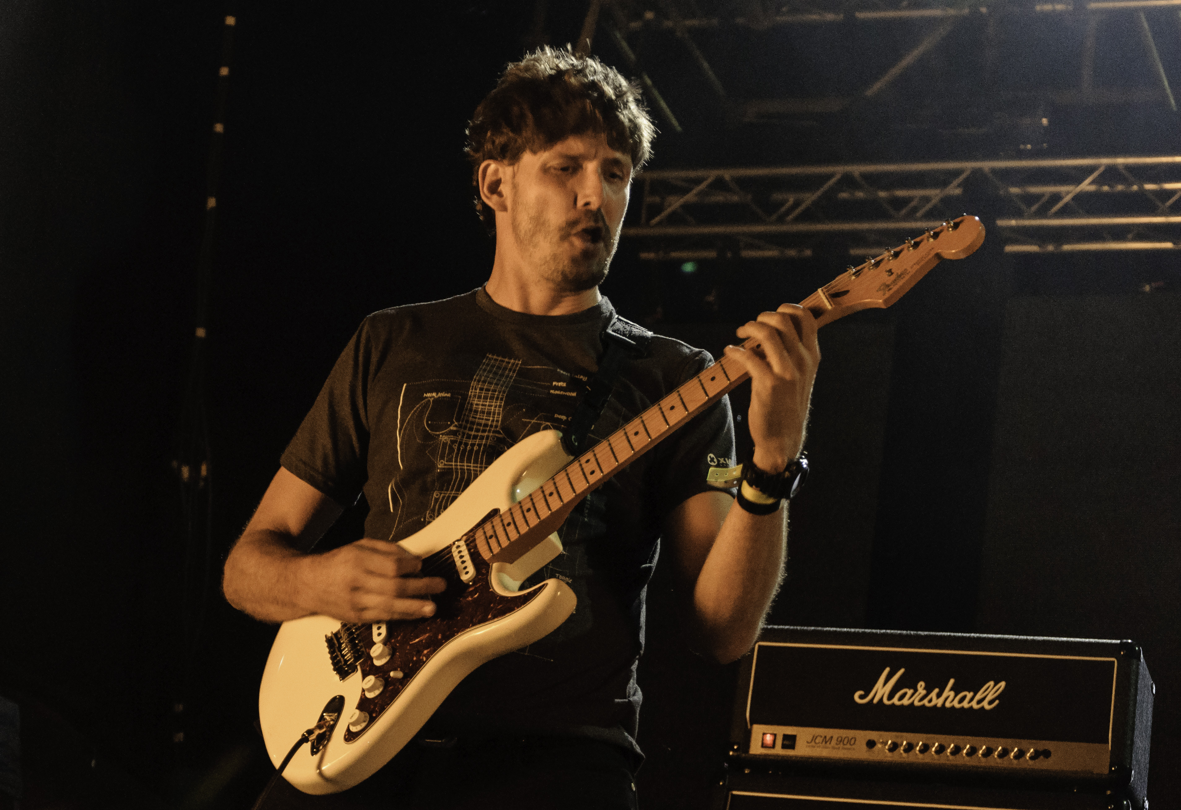 Sibelius Fest 2015: una tarde de talento nacional