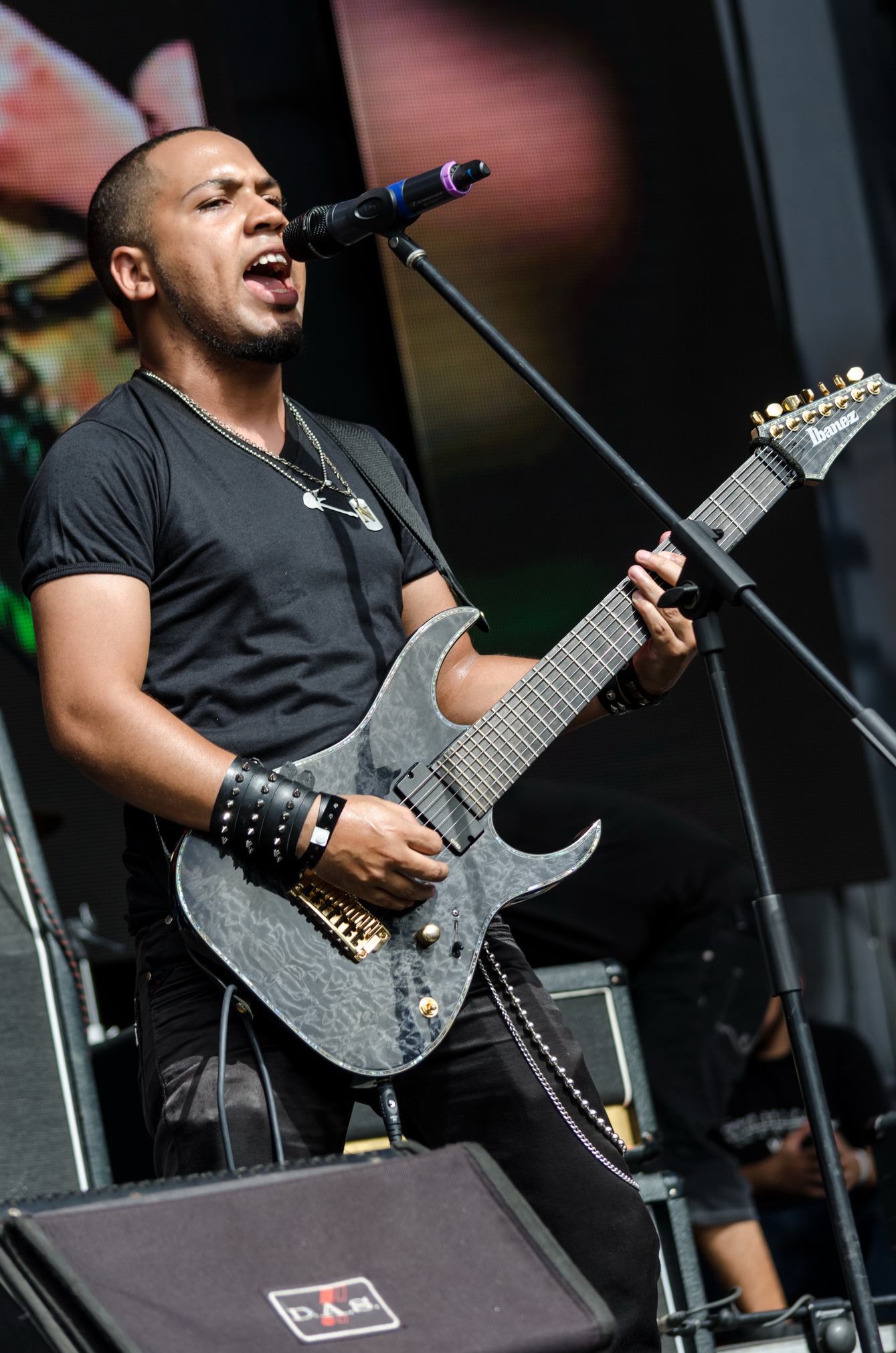 Sibelius Fest 2015: una tarde de talento nacional