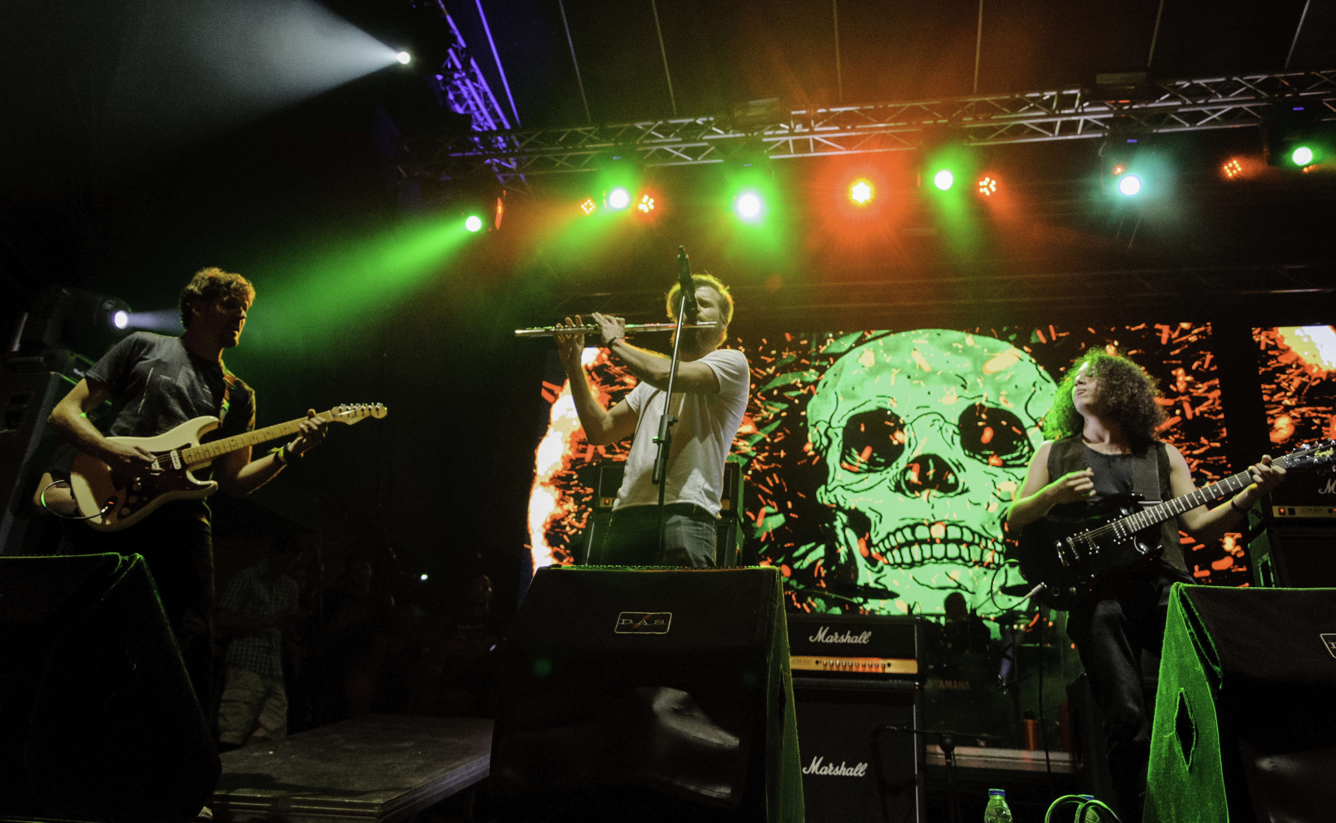 Sibelius Fest 2015: una tarde de talento nacional